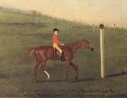 Francis Sartorius 'Eclipse' with Jockey up walking the Course for the King's Plate 1776 painting
